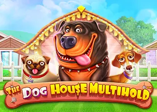 fox888 สมัคร รีวิว The Dog House Multihold ทดลองเล่นฟรี
