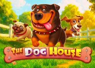 fox888 สมัคร รีวิว The Dog House